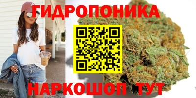 Альфа ПВП Севастополь