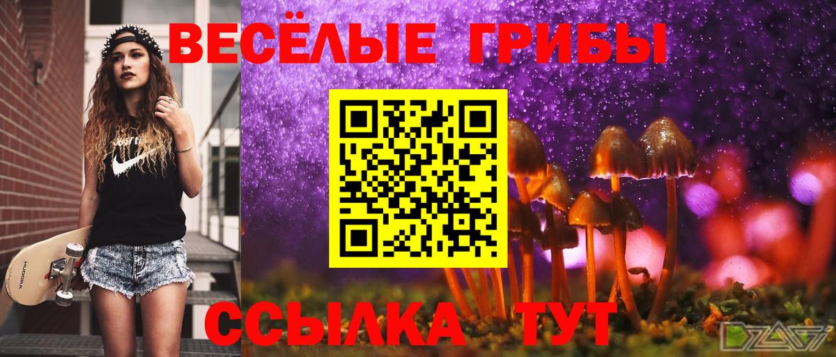 Ростов Великий  Псилоцибиновые грибы Psilocybine cubensis  Вход с VPN 